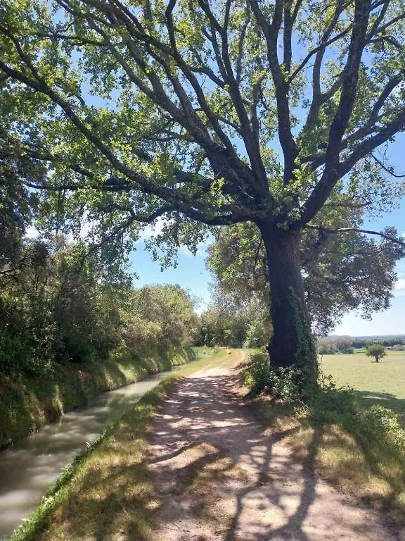 Appartement Les Acacias - Campagne Avec Piscine Commune Eyragues 0*,