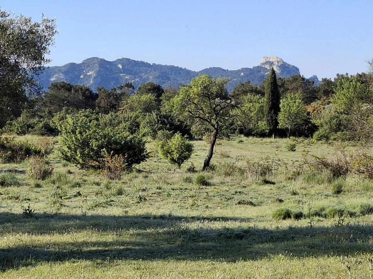 Appartement Les Acacias - Campagne Avec Piscine Commune Eyragues 0*,