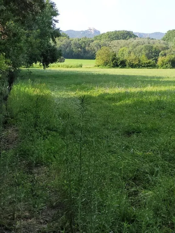 Appartement Les Acacias - Campagne Avec Piscine Commune Eyragues