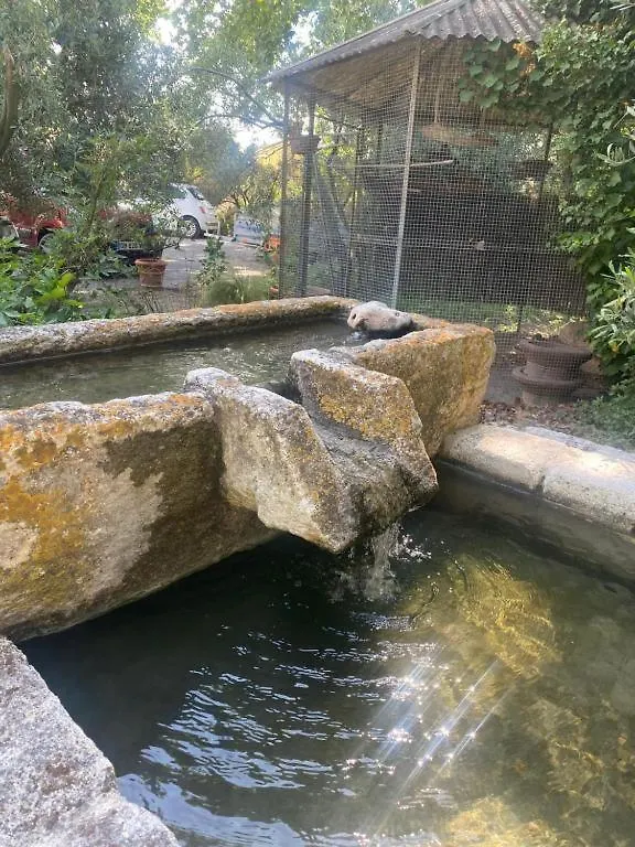 Apartment Appartement Les Acacias - Campagne Avec Piscine Commune Eyragues
