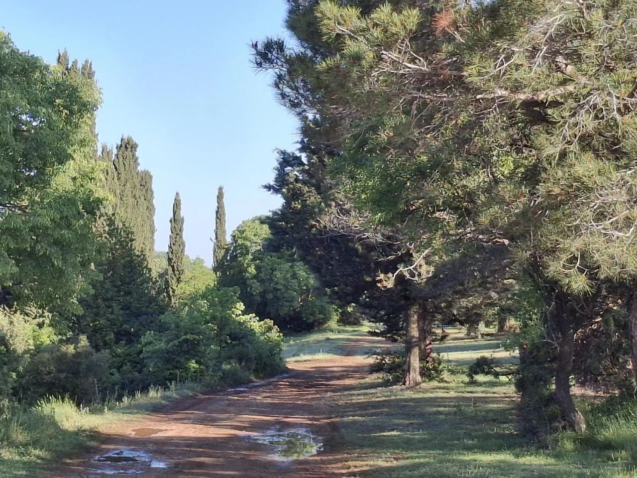 Apartment Appartement Les Acacias - Campagne Avec Piscine Commune Eyragues